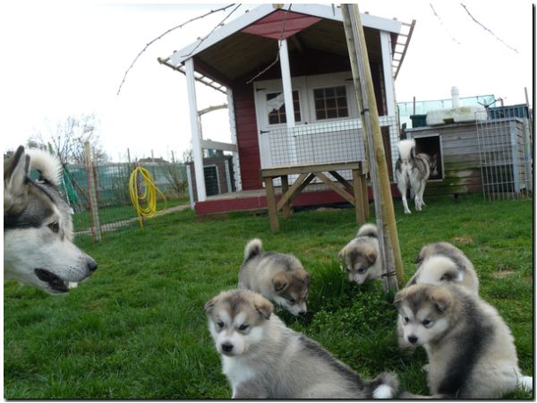 E Wurf 5 Woche 178.jpg